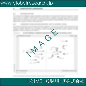 グローバルリサーチ調査資料のイメージ